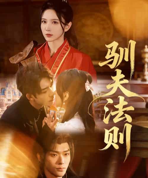 驯夫法则（69集全）曹天睿（曹皓添）＆高明君-紫橙网创项目网