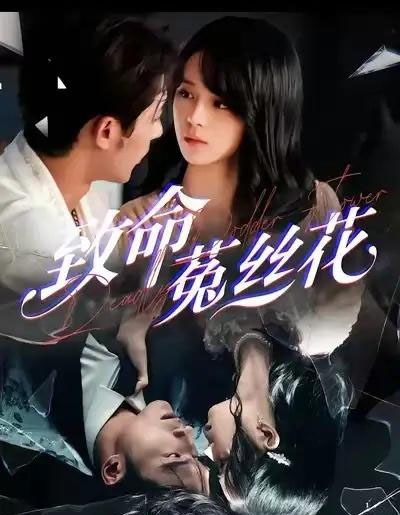 致命菟丝花(66集全)车超炎&王英杰-紫橙网创项目网