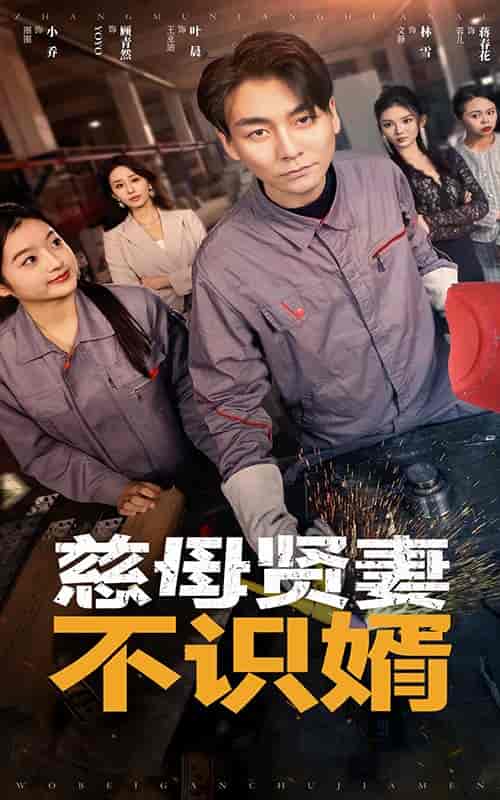 慈母贤妻不识婿（45集全） - 紫橙阁短剧