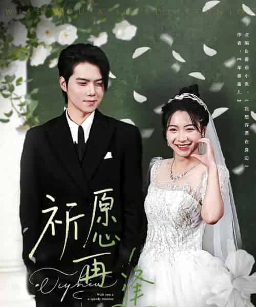 祈愿再逢（80集） - 紫橙阁短剧