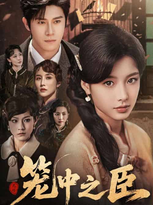 笼中之臣（67集）杨宇斌＆谭雯文 - 紫橙阁短剧