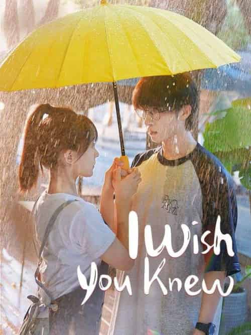 I Wish You Knew（70集全）Rachel＆Summers＆＆Christopher＆Grant - 紫橙海外短剧