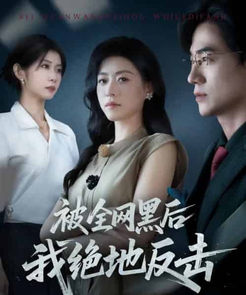 被全网黑后我绝地反击（62集全）孙茂峰＆诸玲颖-紫橙网创项目网