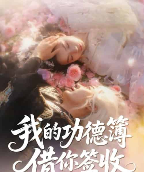 我的功德簿借你签收 共42集 我的功德簿借你签收 共42集