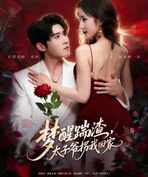 梦醒踹渣，太子爷拐我回家（80集全）黄云云＆杨宇斌 - 紫橙阁短剧