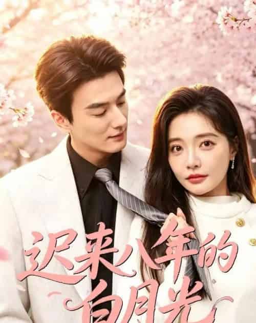 迟来八年的白月光(60集全)张策&李欣怡-紫橙网创项目网