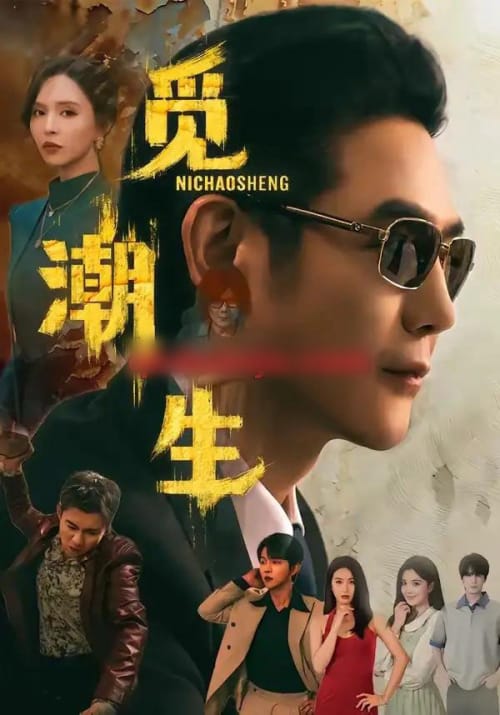 觅潮生(75集全)黄文博&刘蔓莉-紫橙网创项目网