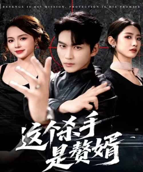 这个杀手是赘婿（81集全）周朕＆孙如意-紫橙网创项目网