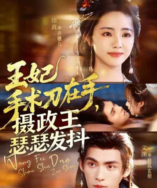 王妃手术刀在手，摄政王瑟瑟发抖（73集全）徐真＆文渊-紫橙网创项目网
