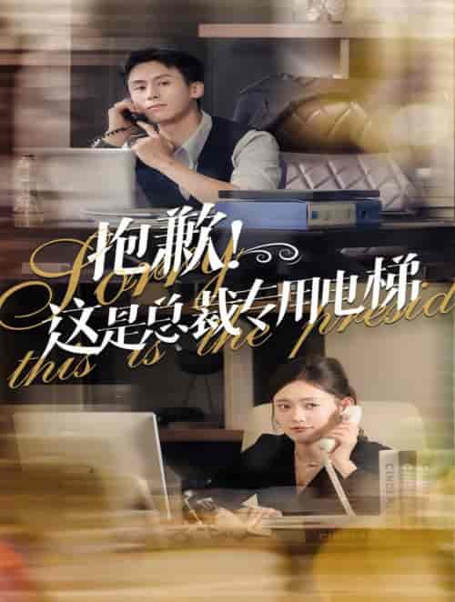 抱歉这是总裁专用电梯（60集全）王寒阳＆四一 - 紫橙阁短剧
