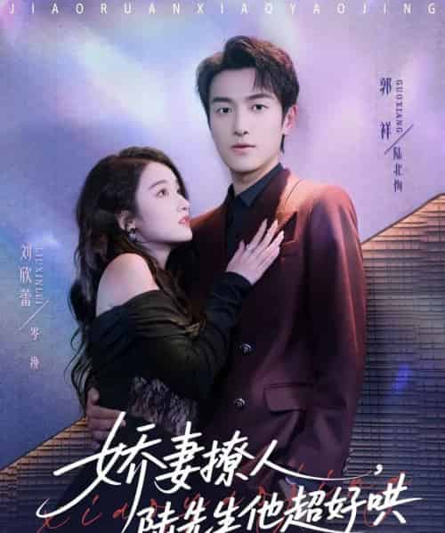 娇妻撩人,陆先生他超好哄(73集全)郭祥&刘欣蕾-紫橙网创项目网