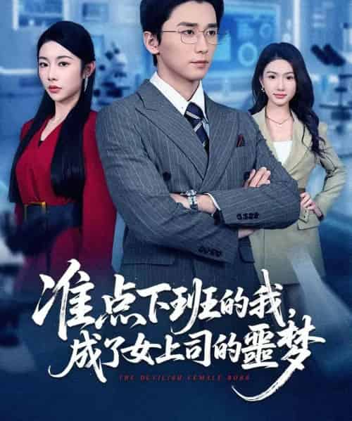 准点下班的我，成了女上司的噩梦（60集全）梅洋＆杨林涛（杨桃）-紫橙网创项目网