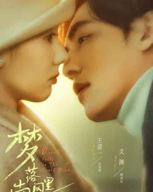 梦落南风里(61集全)文渊&王诺一-紫橙网创项目网