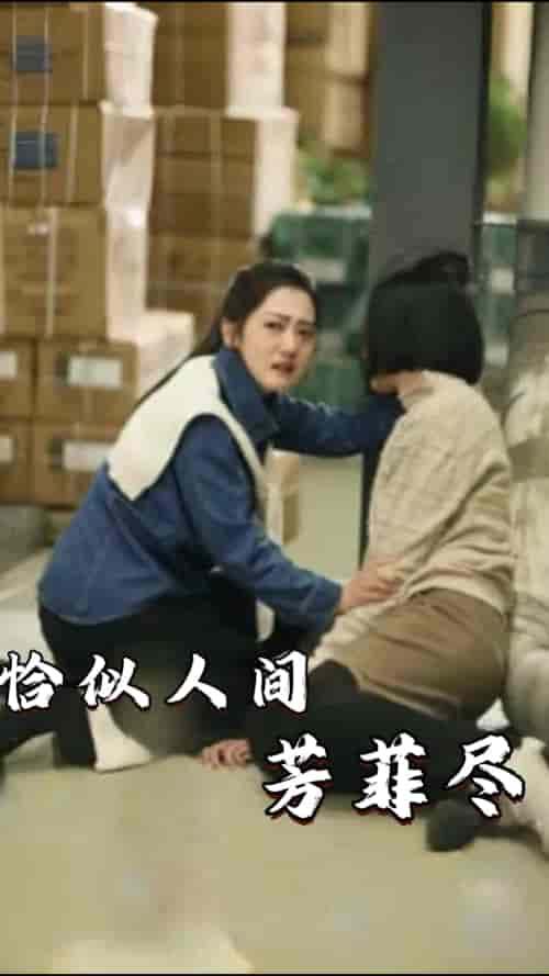 恰似人间芳菲尽（68集） - 紫橙阁短剧