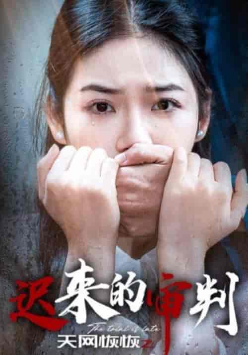 天网恢恢之迟来的审判（31集全）陈建军＆陈小娅 - 紫橙阁短剧