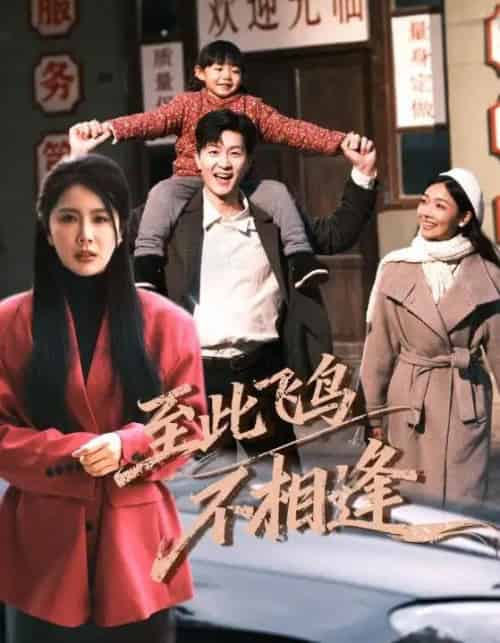 到此飞鸟不相逢（70集全）王鹏＆丁海霞 - 紫橙阁短剧
