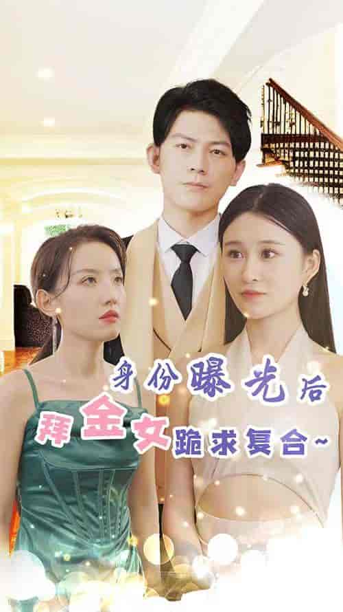 身份曝光后，拜金女跪求复合（91集）-紫橙网创项目网