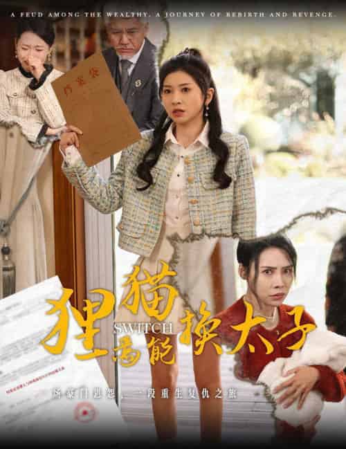 狸猫焉能换太子 狸猫焉能换太子