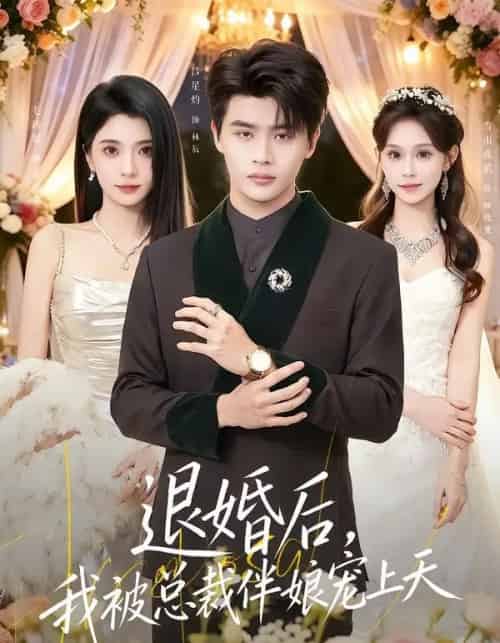 退婚后,我被总裁伴娘宠上天(60集全)吕星灼&毛婧馨-紫橙网创项目网