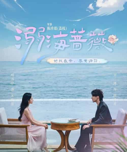 溺海蔷薇（80集）刘兰博＆杨洛仟 - 紫橙阁短剧