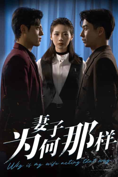 妻子为何那样（60集全）杜星瑶＆刘磊 - 紫橙阁短剧