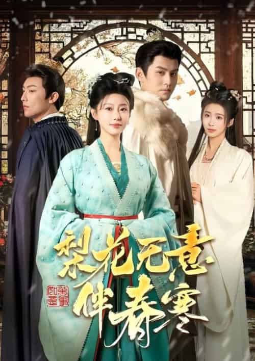 梨花无意伴春寒（63集全）宗沐一＆于小婉儿 - 紫橙短剧