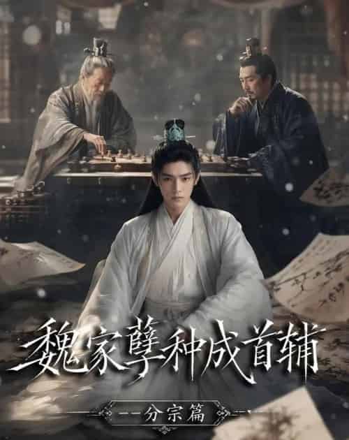 魏家孽种成首辅分宗篇(90集全)AI-紫橙网创项目网