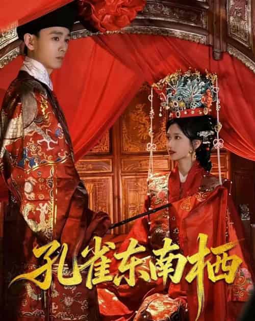 孔雀东南栖(35集全)陈世涵&姚宏博-紫橙网创项目网