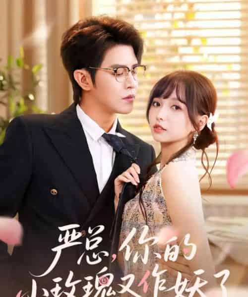 严总你的小玫瑰又作妖了（77集）王朝阳＆杨琳-紫橙网创项目网