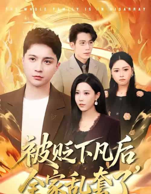 被贬下凡后全家乱套了（88集全）建泽正＆岳舒窃-紫橙网创项目网