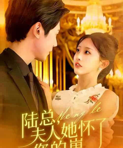 陆总，夫人她怀了您的崽（89集全）何连飞＆李艾笑 - 紫橙阁短剧