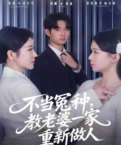 不当冤种,教老婆一家重新做人(80集全)明鹏&丸子-紫橙网创项目网