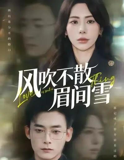 风吹不散眉间雪(77集全)秦萍&陈锦涵-紫橙网创项目网