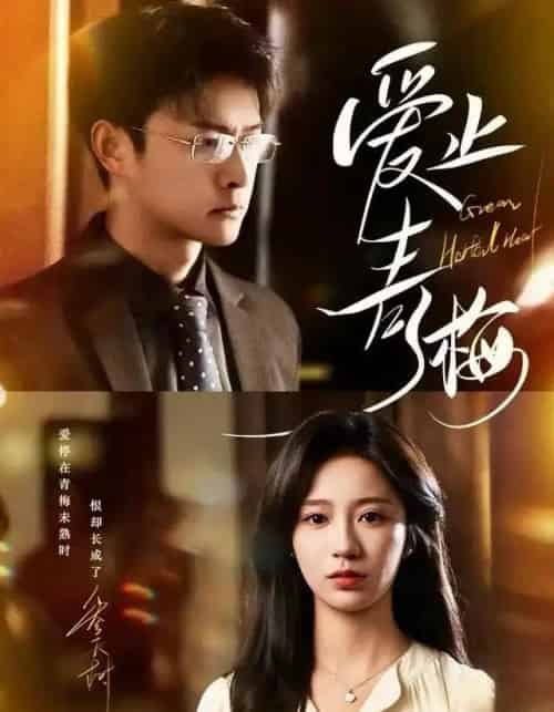 爱止青梅（60集全）杨欢＆何怡婷-紫橙网创项目网