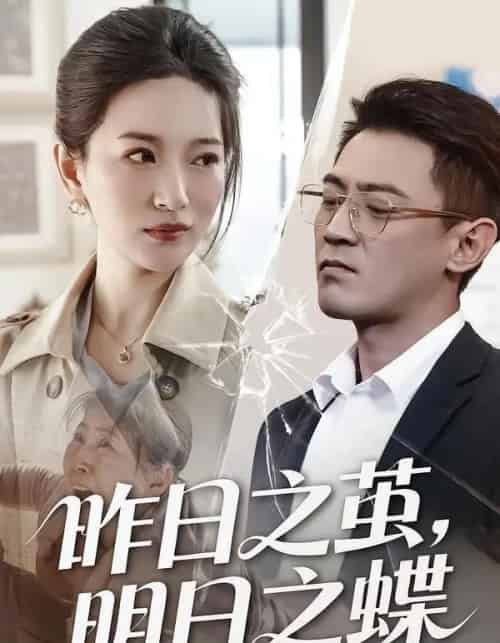 昨日之茧，明日之蝶（52集全）毕远峰＆李雪莹-紫橙网创项目网