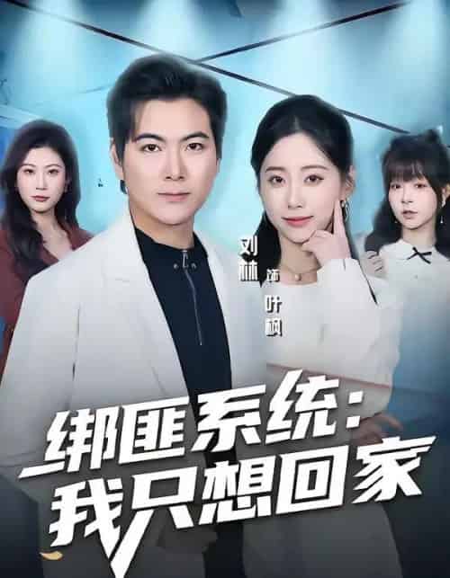 绑匪系统:我只想回家(84集全)刘林&顾嘉轩-紫橙网创项目网