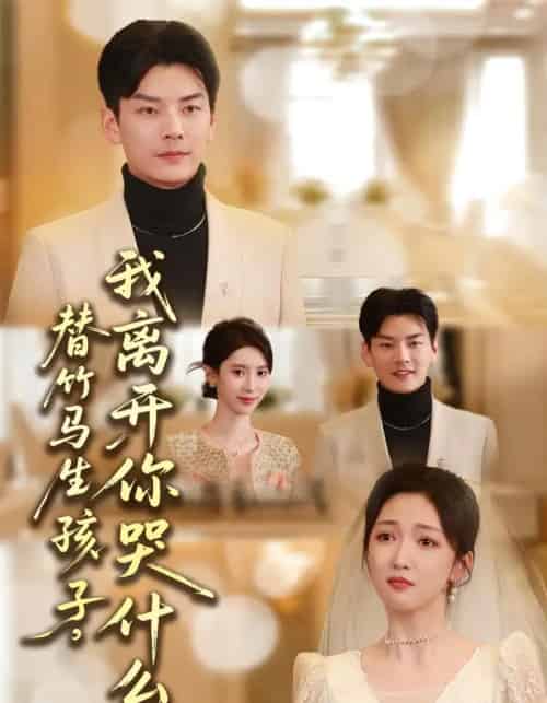 替竹马生孩子，我离开你哭什么（57集全）杨川北＆赵琪-紫橙网创项目网