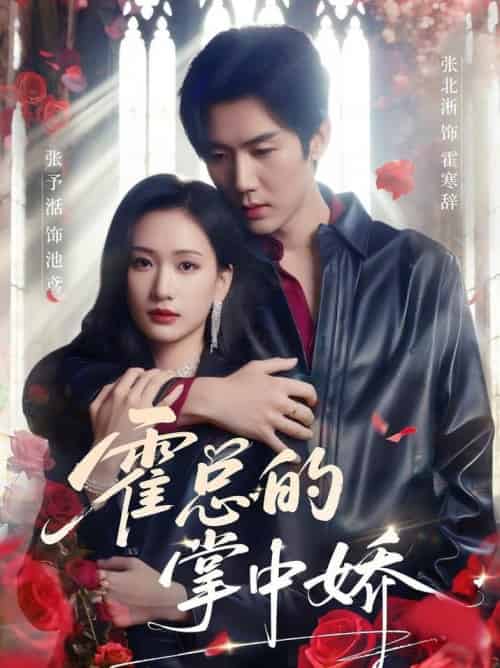 霍总的掌中娇（80集全）张北淅＆张予湉 - 紫橙阁短剧