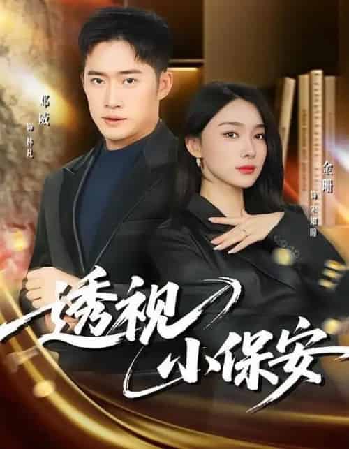 透视小保安（80集全）金珊＆邓威-紫橙网创项目网