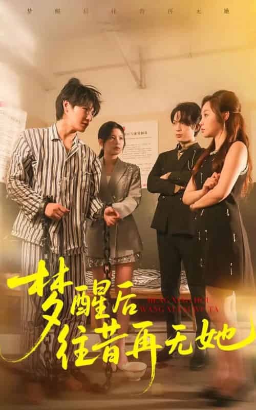 梦醒后往昔再无她（84集全）李彬航＆周恬羽-紫橙网创项目网