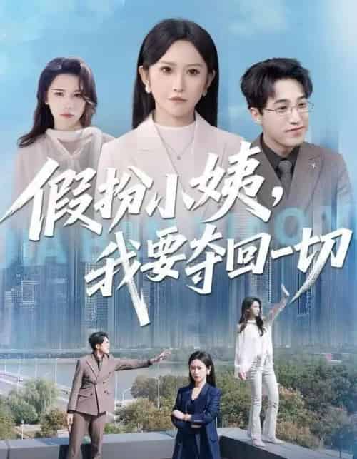 假扮小姨,我要夺回一切(66集全)秦玺&刘小龙-紫橙网创项目网