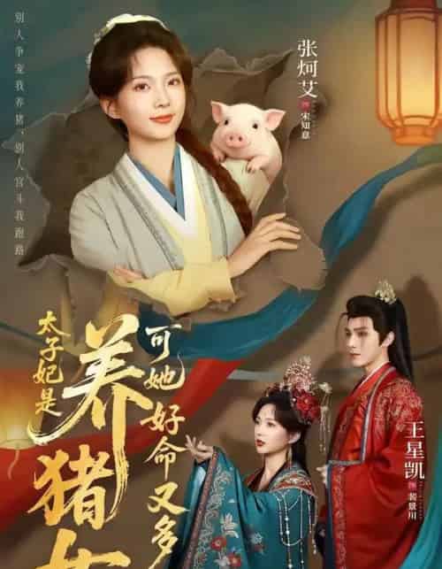 太子妃是养猪女，可她好命又多福（77集全）王星凯＆张炣艾-紫橙网创项目网