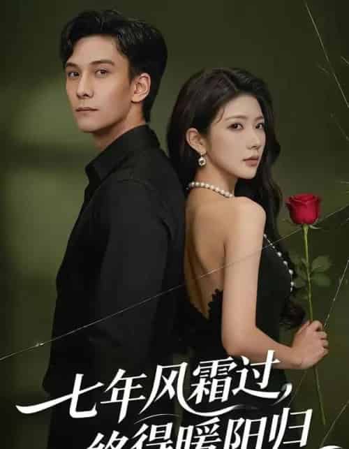 七年风霜过,终得暖阳归(60集全)吴炫汶&李佳轩-紫橙网创项目网