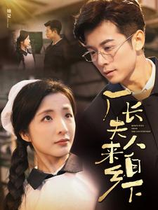 厂长夫人来自乡下（60集全） - 紫橙阁短剧