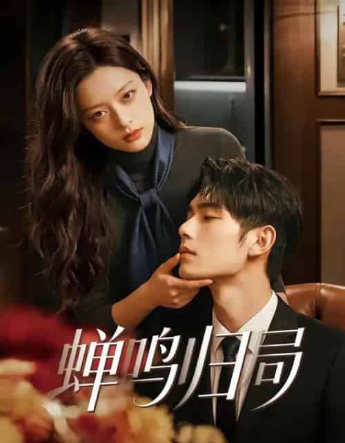 蝉鸣归局（48集全）-紫橙网创项目网