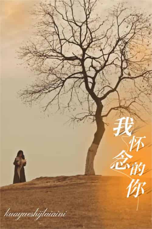 我怀念的你＆跨越时间来爱你（38集） - 紫橙阁短剧
