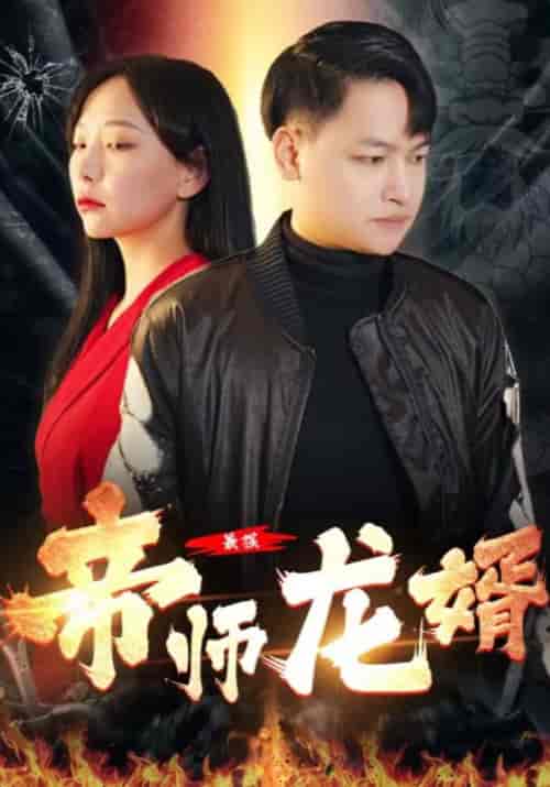 最强帝师龙婿(80集全)叶辰&宋晴雪-紫橙网创项目网