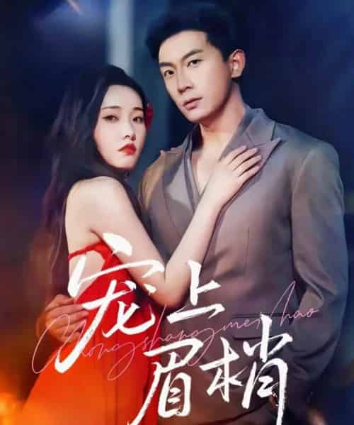 宠上眉梢 宠上眉梢