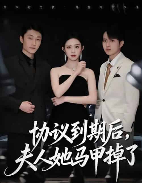 协议到期后,夫人她马甲掉了(53集全)张议丹&吕国聪-紫橙网创项目网