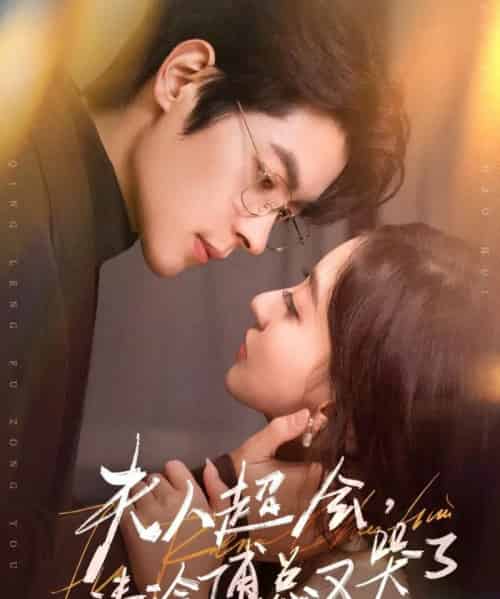 夫人超会，清冷傅总又哭了（77集全）董一＆修雨秀-紫橙网创项目网